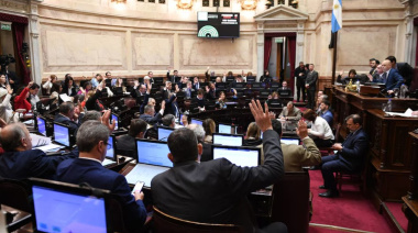 El Senado rechazó el veto en Discapacidad y la ley deberá ser promulgada