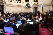 El Senado rechazó el veto en Discapacidad y la ley deberá ser promulgada