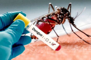 📢 Refuerzan las tareas de prevención contra el dengue