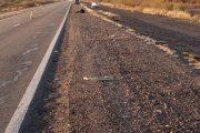 Animal suelto volvió a provocar un accidente