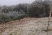 Después de 18 años amaneció nevado en Catamarca