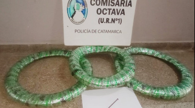 Policías recuperaron cubiertas sustraídas y aprehendieron al presunto autor