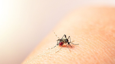 Primer caso sospechoso de dengue en la ciudad: Salud activa el protocolo
