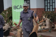 Un argentino que desmanteló una red de caza ilegal y tráfico de fauna recibirá un importante premio mundial