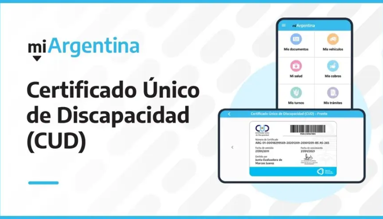 Afuera: Se suspenden 270.000 pensiones por discapacidad