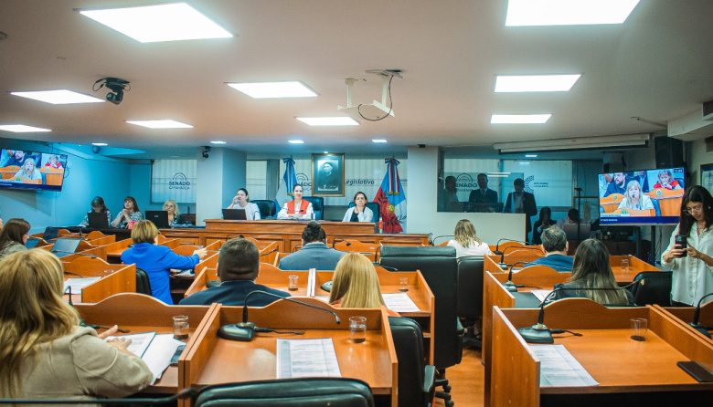 Diputados dio media sanción al boleto gratuito para jubilados