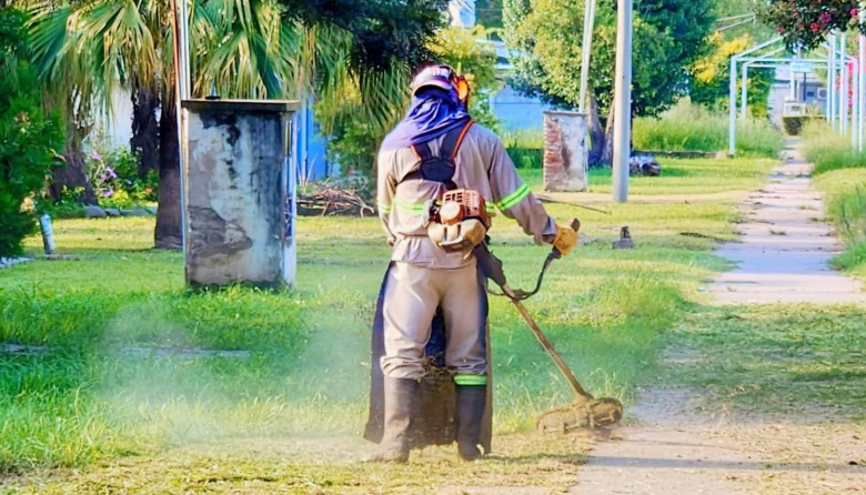ACCIONES CONTRA EL DENGUE EN LOS ALTOS 