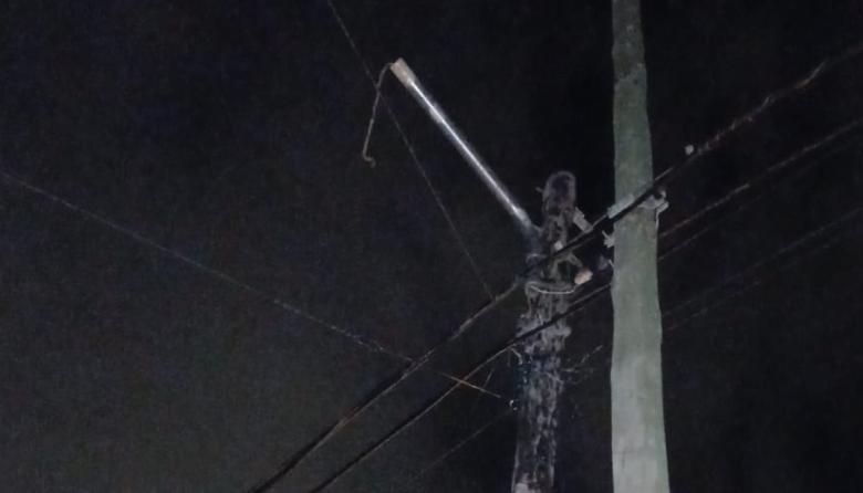 “El Spiderman” del Teresa de Calcuta: trepó a un poste y robó el foco