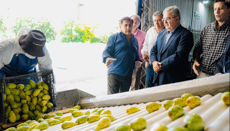 Catamarca avanza hacia su primera exportación de tuna con destino a Europa