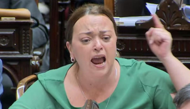 “Usted está pasándose de vivo”: así fue el picante inicio de sesión en Diputados