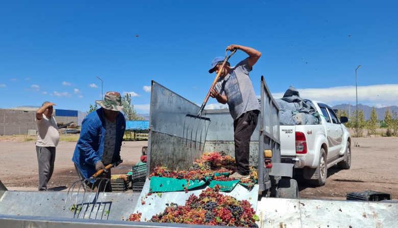 Se abonó el subsidio provincial a productores de uva