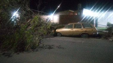 SE DESPLOMARON DOS COLUMNAS Y EL CABLEADO CAYÓ SOBRE UNA MADRE Y SU HIJO