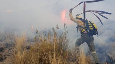 Brigadistas intervienen en incendio forestal en San Antonio del Cajón