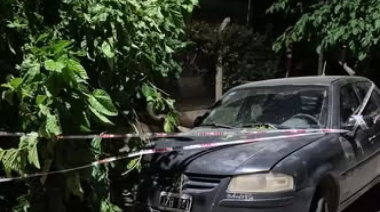 Un conductor perdió el control de su vehículo y colisionó contra un árbol