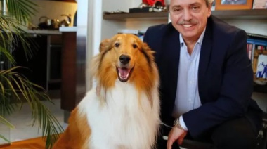 Murió Dylan, el perro de Alberto Fernández