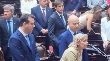 Palladino, Monguillot y Brizuela asumieron como diputados nacionales