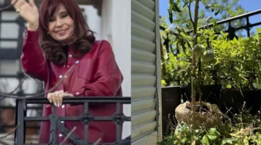 Cristina Kirchner compartió "la historia del tomate peronista"
