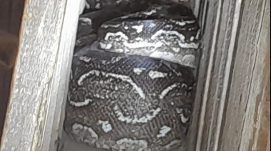 😱 TREMENDO SUSTO EN PIEDRA BLANCA