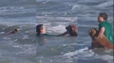 Heroico rescate en Mar del Plata: un perro fue arrastrado por la corriente y un vecino nadó para salvarlo