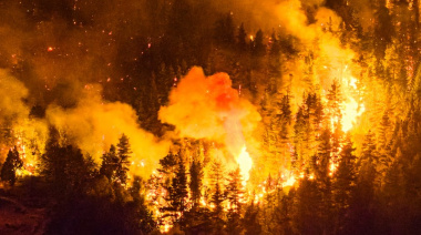 Incendios en Chubut: ya son más de 5.000 hectáreas afectadas, hay casas quemadas y animales muertos