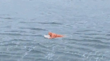 Brasil: sobrevivió 17 horas aferrado a la puerta de una heladera en el mar