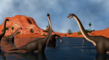 Hallan en Neuquén una nueva especie de dinosaurio saurópodo