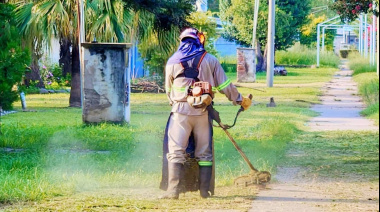 ACCIONES CONTRA EL DENGUE EN LOS ALTOS 