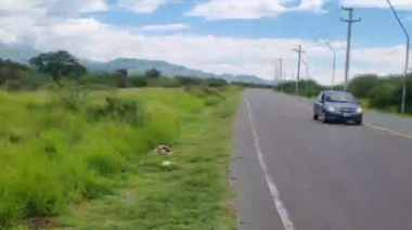 🚨 INDIGNANTE | CRUELDAD QUE DUELE 🚨