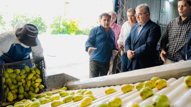 Catamarca avanza hacia su primera exportación de tuna con destino a Europa