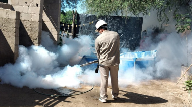 Salud insiste en reforzar la prevención del dengue ante las lluvias