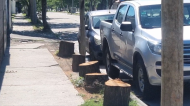 Indignación de vecinos por la tala ilegal de árboles en la vía pública