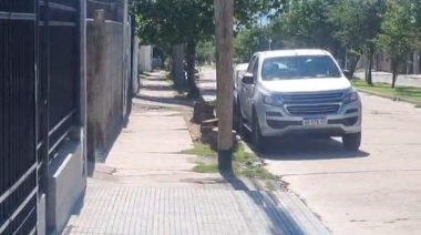 Multaron al responsable por la tala ilegal de árboles en la vía pública