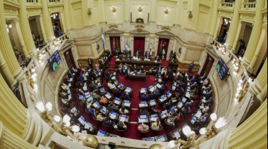 El Senado aprobó la ley que baja la edad de imputabilidad a 14 años