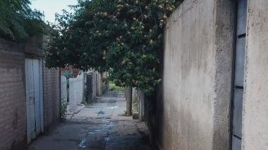 Vecinos de las Mil Viviendas reclaman poda de árboles que obstruyen una peatonal