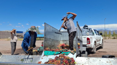 Se abonó el subsidio provincial a productores de uva