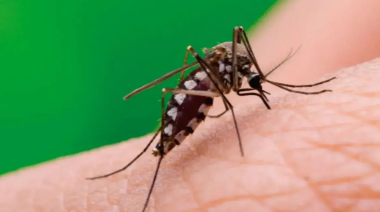 Salud confirmó el primer caso de chikungunya en Catamarca