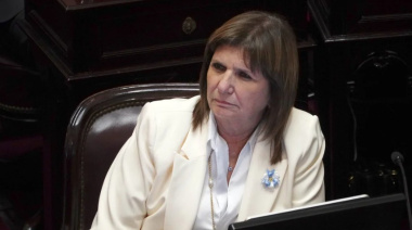 Senado constituyó seis comisiones y las "de gestión" quedaron en manos de los libertarios