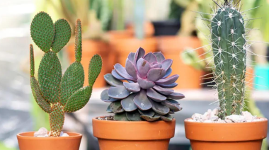 Abril llega con nuevos talleres en la Casa de la Cultura