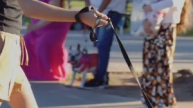 🎉🐾 Gran jornada recreativa en la previa del Día del Animal y el Día del Emprendedor 🐾🎉