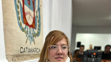 LLA exige un informe urgente sobre el estado de las cámaras del SAE 911 y pide auditar el Centro de Monitoreo Municipal