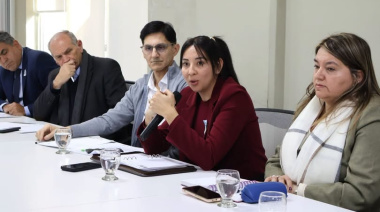 Ministros de Salud del Norte Grande acordaron acciones conjuntas para garantizar las prestaciones de Incluir Salud