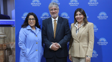 Convicción Federal acompañó con disidencias el dictamen oficial sobre Patentes y aportó propuesta innovadora en salud mental