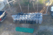 Policías secuestraron más de 700 kilos de hojas de coca en Santa María