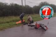Accidente en RP N27 impactaron con un animal vacuno