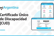 Afuera: Se suspenden 270.000 pensiones por discapacidad