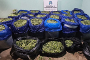 En Antofagasta de la Sierra personal policial incautó casi media tonelada de hojas de coca y dos camionetas