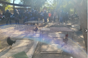 Operativo policial desarticuló presunta riña de gallos clandestina en La Tercena