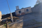 DENUNCIAN QUE UN VECINO CONVIVE CON PERROS MUERTOS Y OTROS EN ESTADO DE ABANDONO EXTREMO