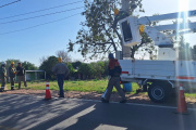 CUADRILLAS DE EC SAPEM Y DEL MUNICIPIO TRABAJAN TRAS EL ZONDA EN LOS ALTOS