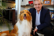 Murió Dylan, el perro de Alberto Fernández